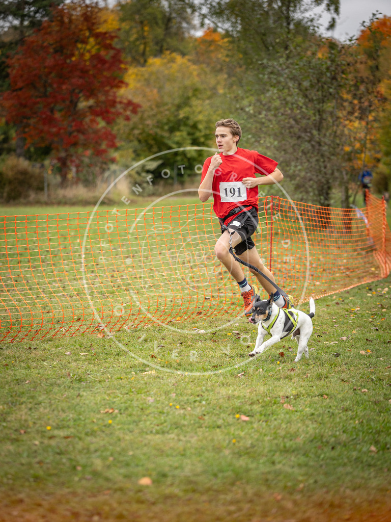 Pfotenfotografie_DV3A3576 | Hundefotografie, Tierfotograf, Pfotenfotografie, Fotoshooting Hund, Hunde Portrait, Hundesport, Hundeportraits, Heideshooting, Hunde, Sportfotograf, Hundefotograf, Turnierhundsport, THS,  - Realisiert mit Pictrs.com