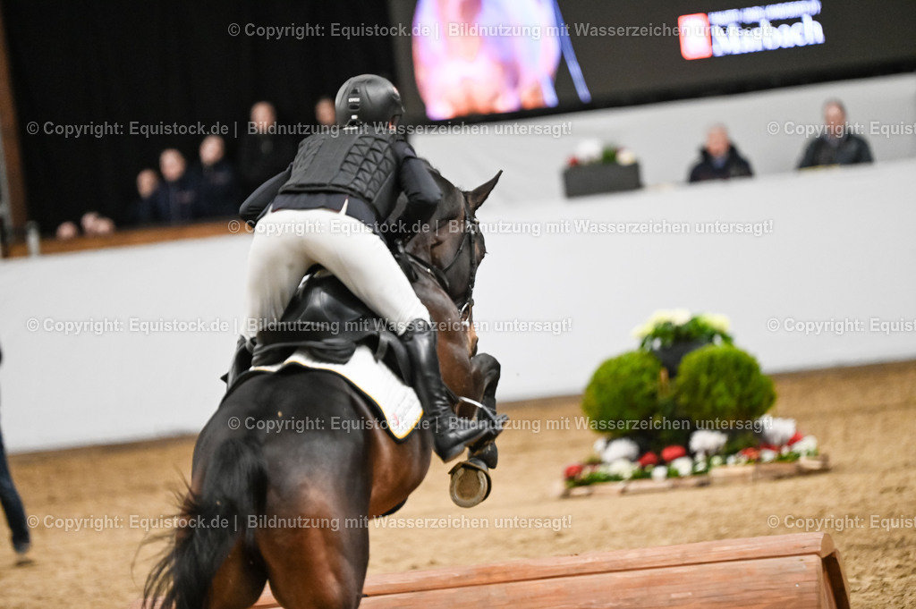 20260307_Hengstvorstellung-Marbach_0450 | equistock