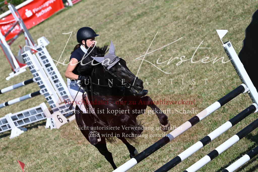 DSC_2471 | Pferde- und Turnierfotografie in Westsachsen. Pferdeportraits, Auftragszeichnungen und intuitive Kunst.