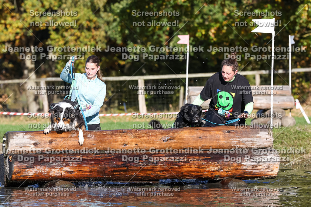 Dog Paparazzi - Strongdog 10-25-8836 | Dog Paparazzi Jeanette Grottendiek Fotografie & Videografie - Realisiert mit Pictrs.com