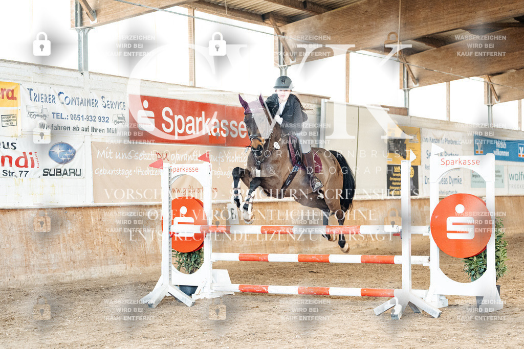 CK905149 | Turnierfotografie Pferdefotografie Trier Rheinland-Pfalz Pferdesport Reitsport Tierfotografie Sportfotografie Pferdevideo Pferdevideografie Equestrianvideography equestrianphotography  - Realisiert mit Pictrs.com