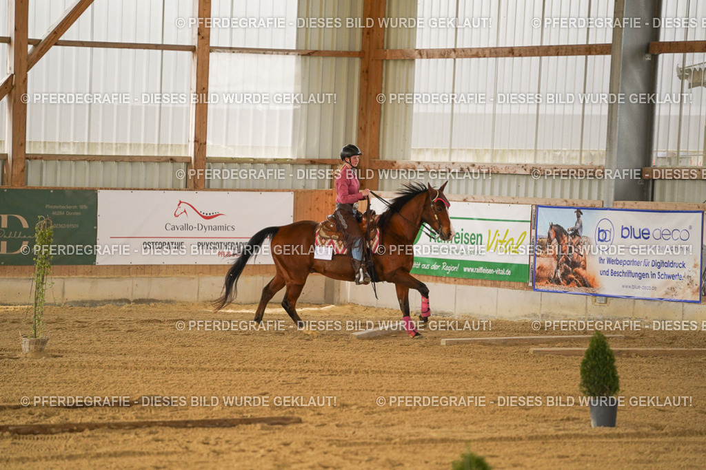 DSC05880 | Pferdegrafie