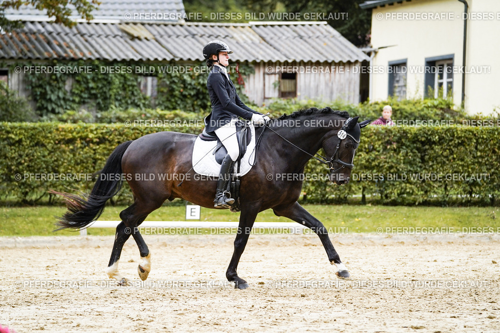 DSC07688 | Pferdegrafie