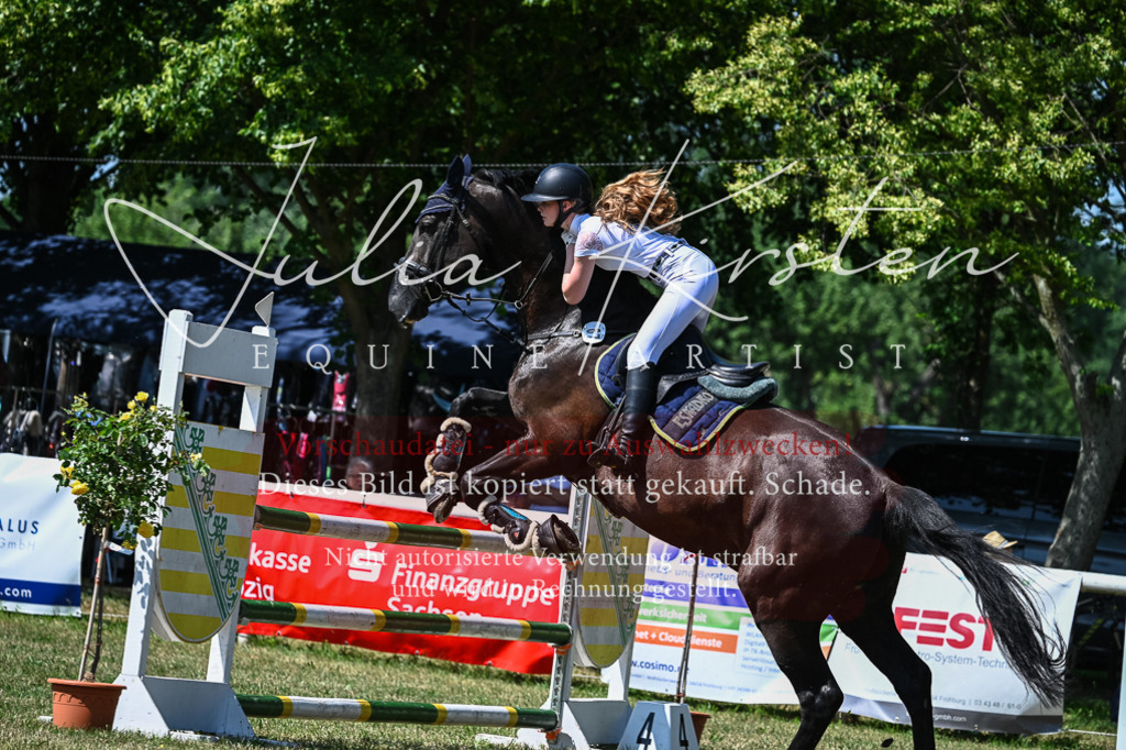 DSC_0968 | Pferde- und Turnierfotografie in Westsachsen. Pferdeportraits, Auftragszeichnungen und intuitive Kunst.
