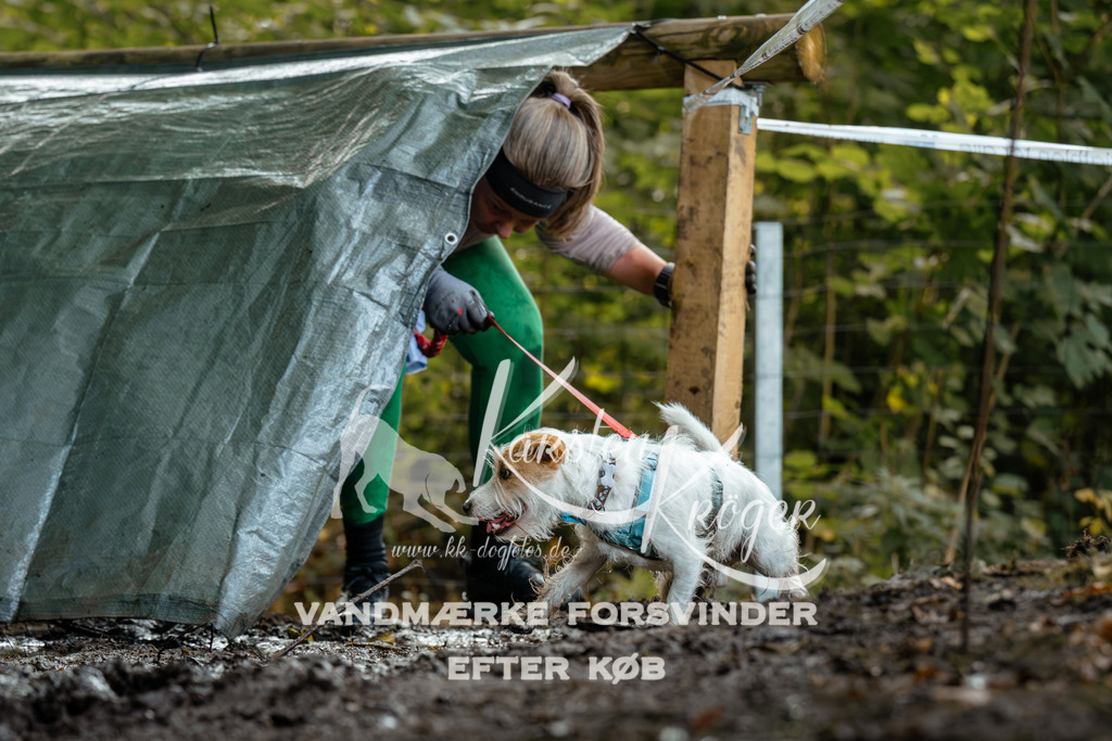 1416DZ6_1398Z6 | kk-dogfotos