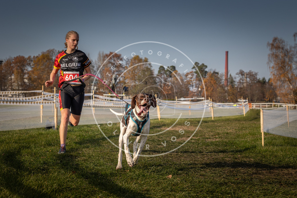 CaniXpix_0L8A0120 | Hundefotografie, Tierfotograf, Pfotenfotografie, Fotoshooting Hund, Hunde Portrait, Hundesport, Hundeportraits, Heideshooting, Hunde, Sportfotograf, Hundefotograf, Turnierhundsport, THS,  - Realisiert mit Pictrs.com