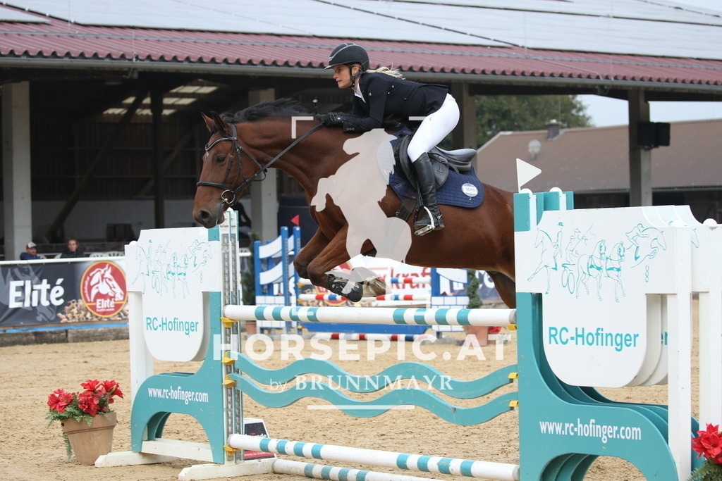 DL2Q3940 | Willkommen bei Brunnmayr - Design & Fotografie – Ihrem Spezialisten für Reitturniere und Pferdeveranstaltungen in Oberösterreich, Salzburg und Bayern! Seit über 17 Jahren sind wir leidenschaftlich dabei.