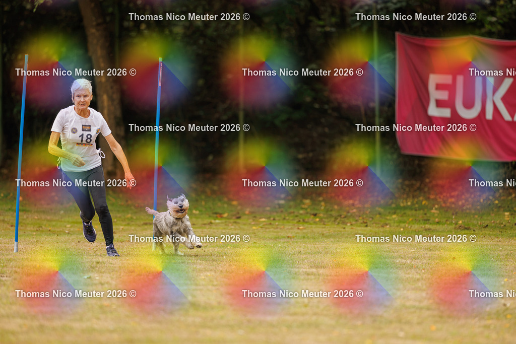 Thomas_Nico_Meuter(C)_22. August 2026_223A2583 | Bild von Thomas Nico Meuter - Realisiert mit Pictrs.com