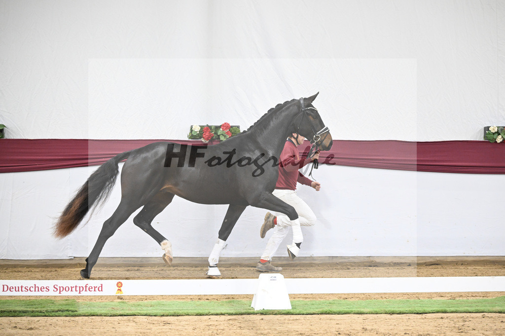 Kat-Nr. 31 In My Mind x Fidertanz_Uwe Kraft_47251046 | hf-fotografie - Realisiert mit Pictrs.com