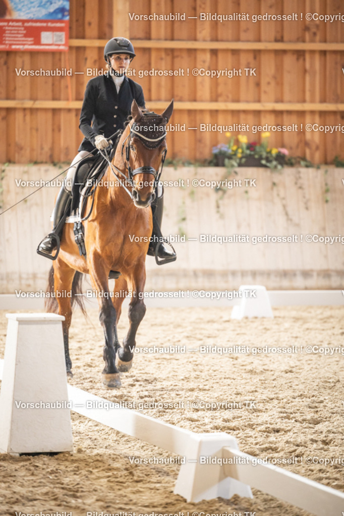 _D5A9438 | Emotionale Pferde- & People-Fotografie rund um Heidelberg, Leimen & Umgebung. Natürliche Fotos von Pferd, Mensch & Familie. Jetzt Termin sichern!