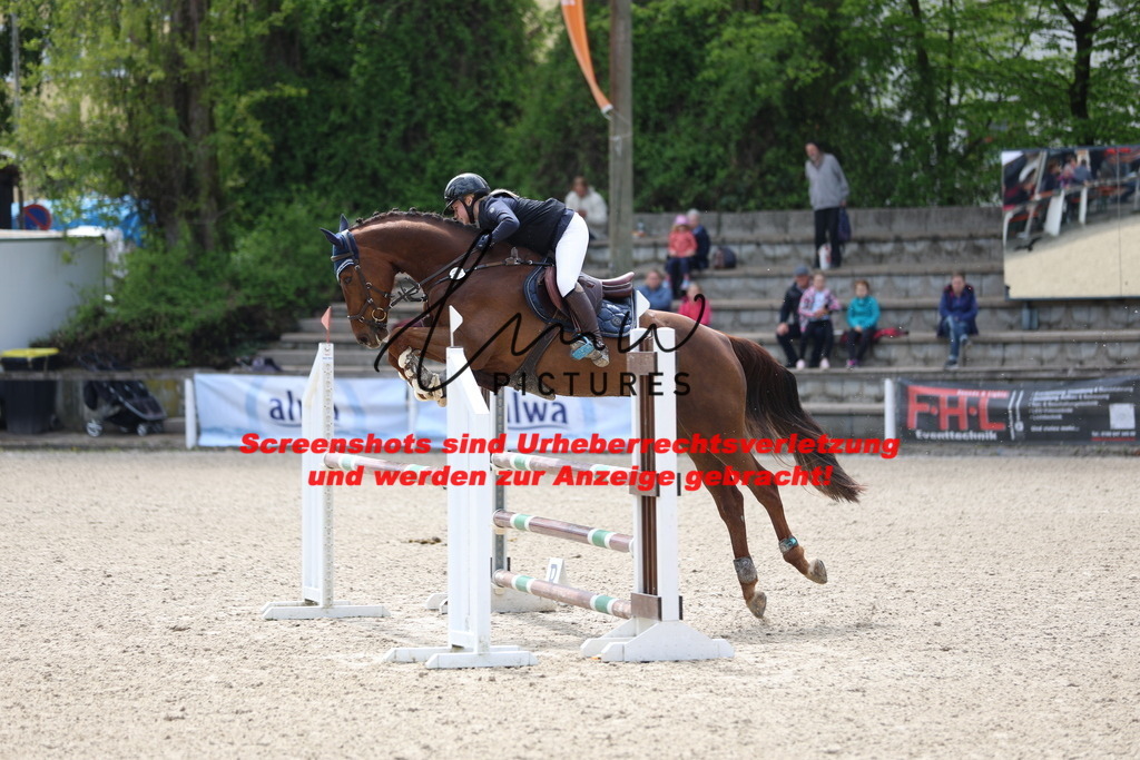 A40A2326 | lmwpictures - Realisiert mit Pictrs.com