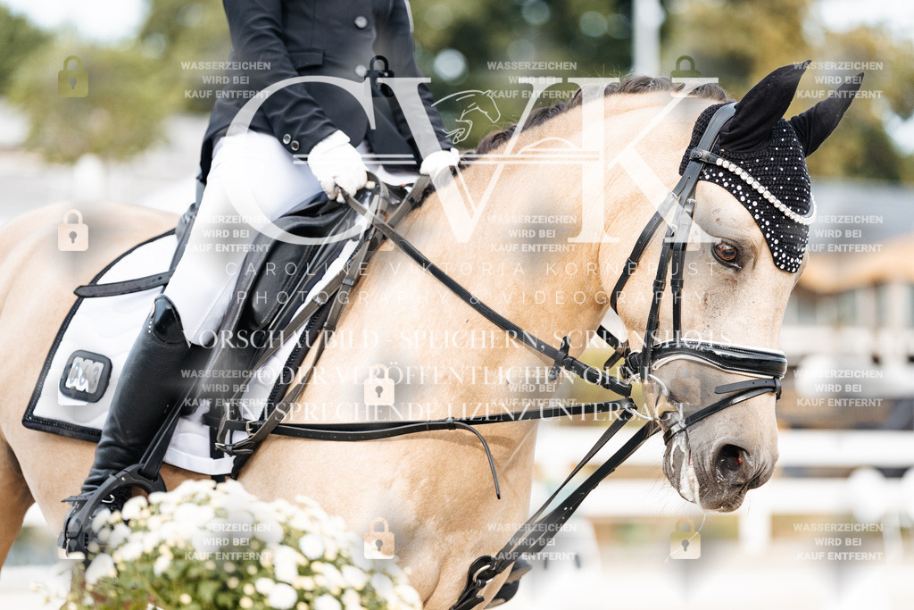CK904281 | Turnierfotografie Pferdefotografie Trier Rheinland-Pfalz Pferdesport Reitsport Tierfotografie Sportfotografie Pferdevideo Pferdevideografie Equestrianvideography equestrianphotography  - Realisiert mit Pictrs.com