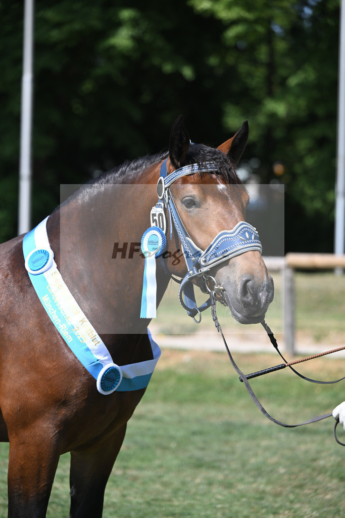 Kat-Nr. 50 Nockerl_HLG Schwaiganger_20231305 | hf-fotografie - Realisiert mit Pictrs.com