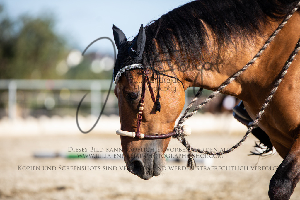 20220708-JuliaEndrejatPhotography-0105 | Julia Endrejat Photography