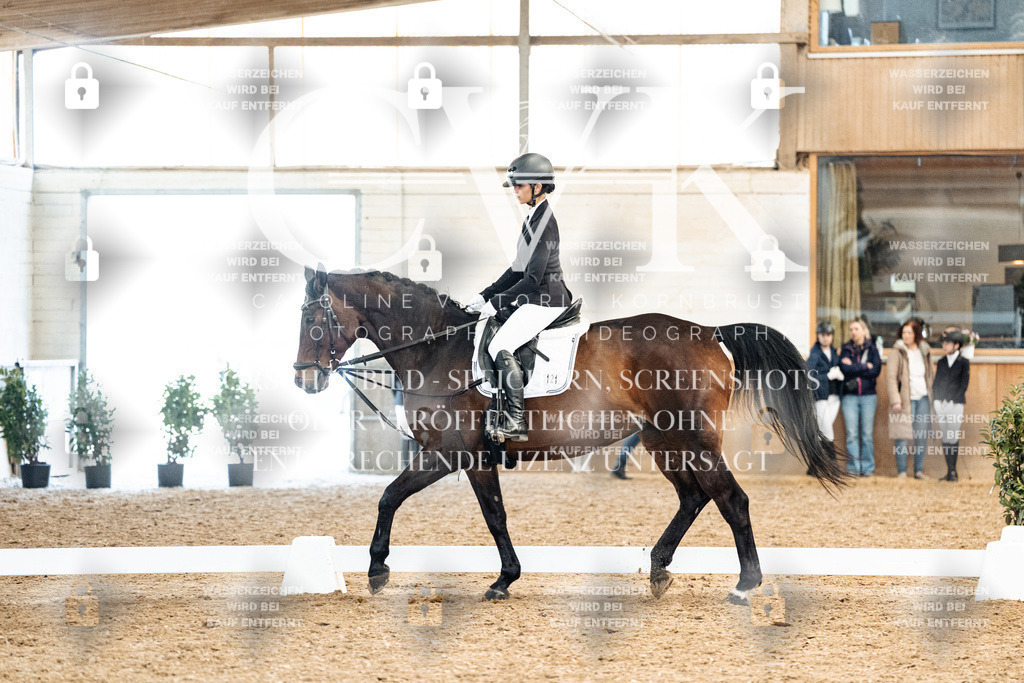 CK909936 | Turnierfotografie Pferdefotografie Trier Rheinland-Pfalz Pferdesport Reitsport Tierfotografie Sportfotografie Pferdevideo Pferdevideografie Equestrianvideography equestrianphotography  - Realisiert mit Pictrs.com