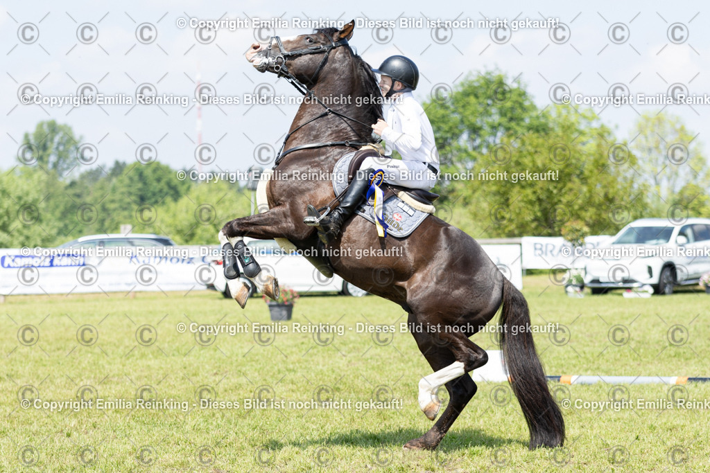 CL5A3839 | Emilia Reinking Fotografie - Realisiert mit Pictrs.com