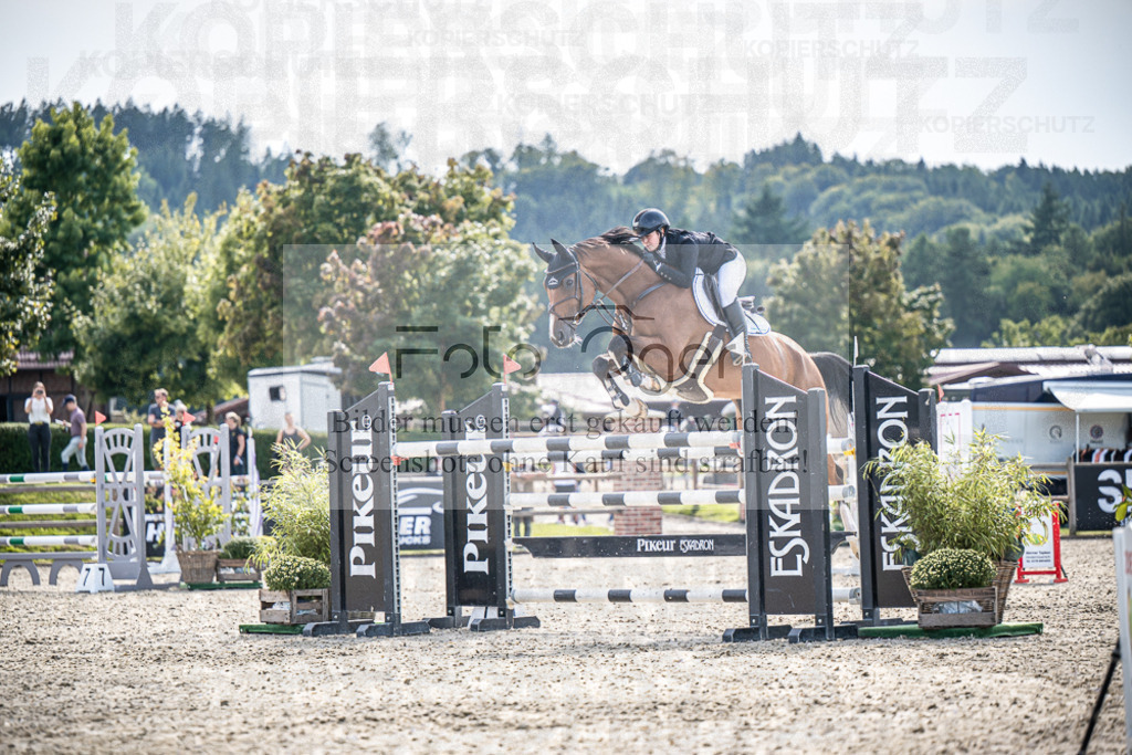DOS_1114 | Entdecke hochwertige Reitturnierfotos von Foto Oger. Professionell, emotional und authentisch – jetzt Lieblingsmomente im Shop bestellen.Deutschlandweite Turnierfotografie. - Realisiert mit Pictrs.com