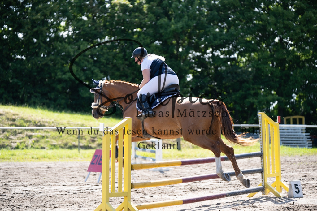 A7V03509 | Pferdefotograf