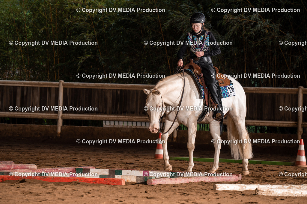 Erbach Tag 3-16 | dv-media-shop - Realisiert mit Pictrs.com