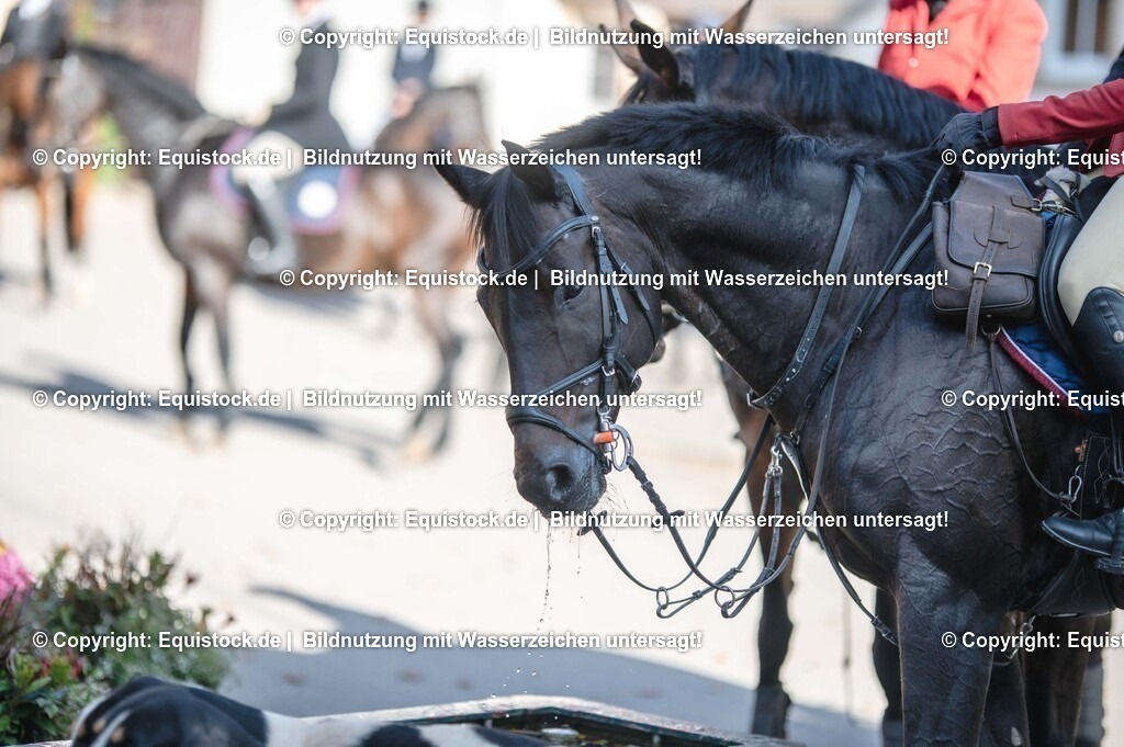 20251011_Jagd-Marbach_0641 | Foto: Thomas Hartig