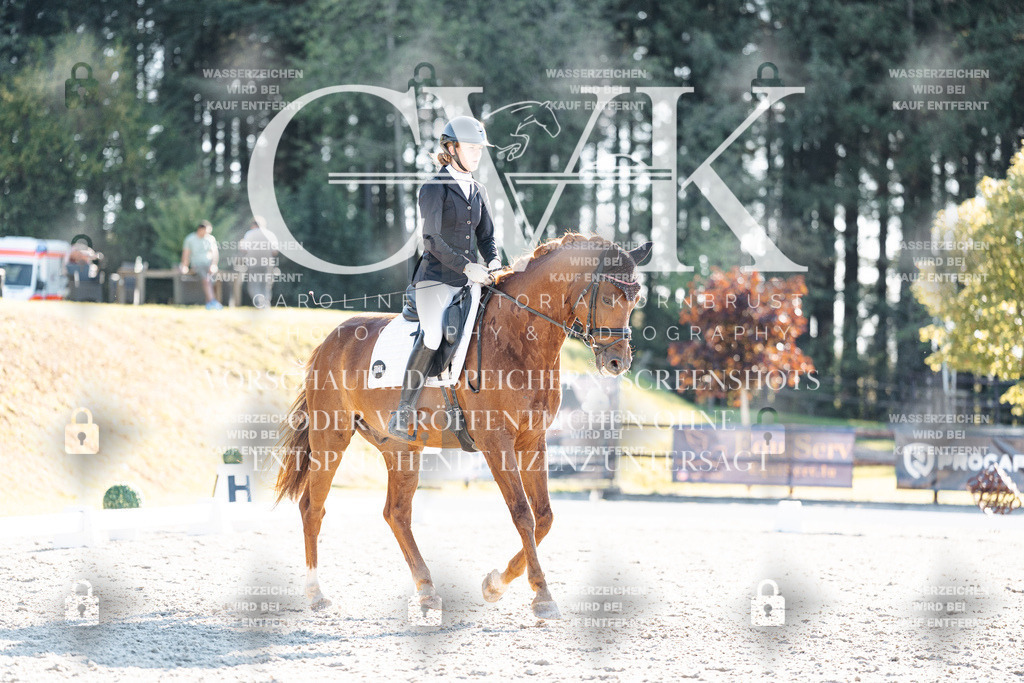 CK906691 | Turnierfotografie Pferdefotografie Trier Rheinland-Pfalz Pferdesport Reitsport Tierfotografie Sportfotografie Pferdevideo Pferdevideografie Equestrianvideography equestrianphotography  - Realisiert mit Pictrs.com