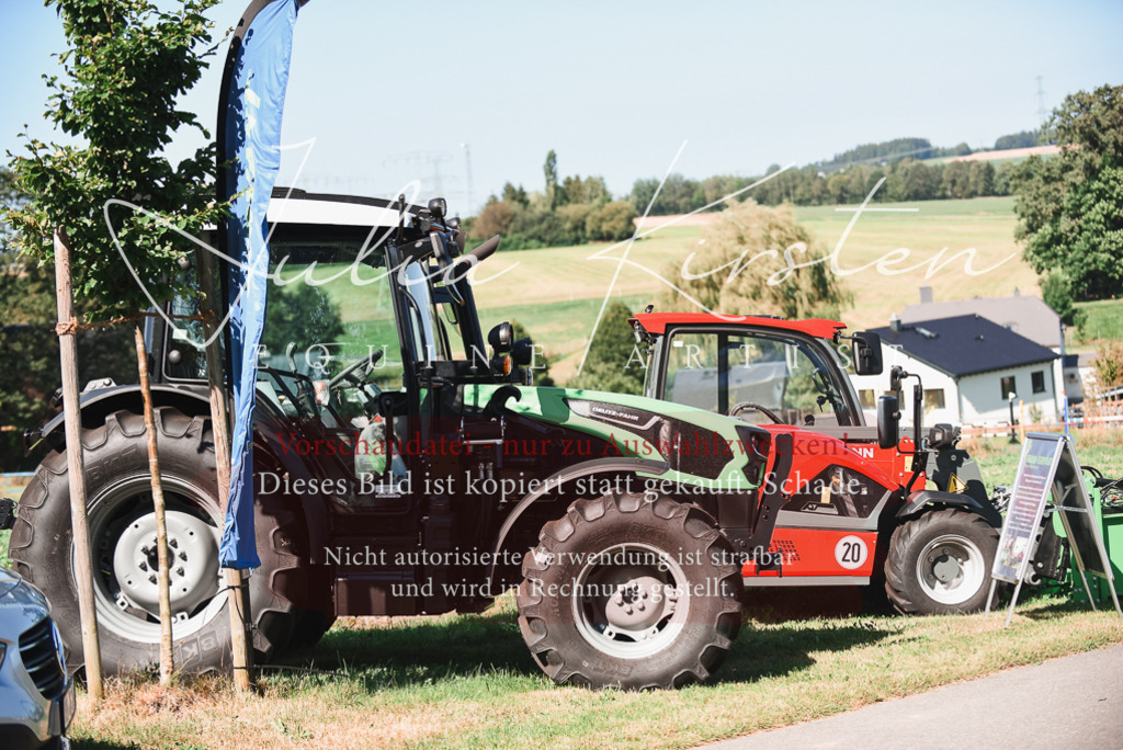 DSC_2670 | Pferde- und Turnierfotografie in Westsachsen. Pferdeportraits, Auftragszeichnungen und intuitive Kunst.