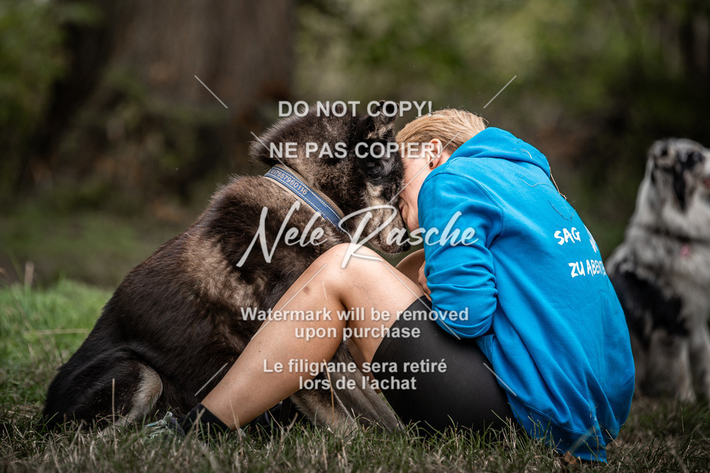 nelerasche_freitag2_035 | nelerasche