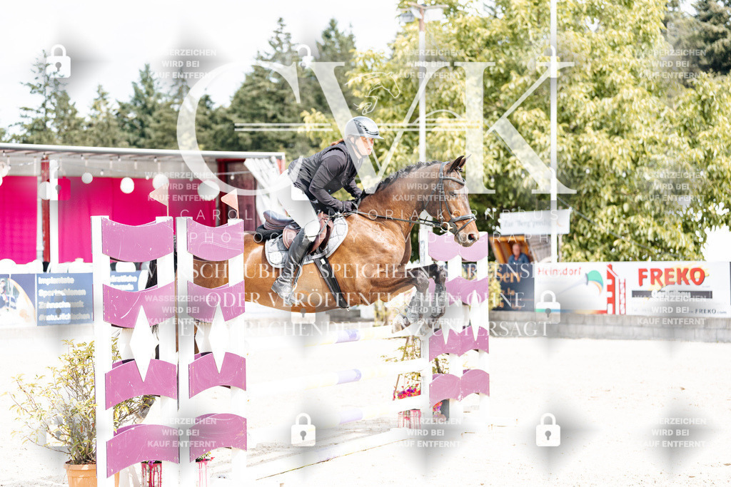 CK908958 | Turnierfotografie Pferdefotografie Trier Rheinland-Pfalz Pferdesport Reitsport Tierfotografie Sportfotografie Pferdevideo Pferdevideografie Equestrianvideography equestrianphotography  - Realisiert mit Pictrs.com