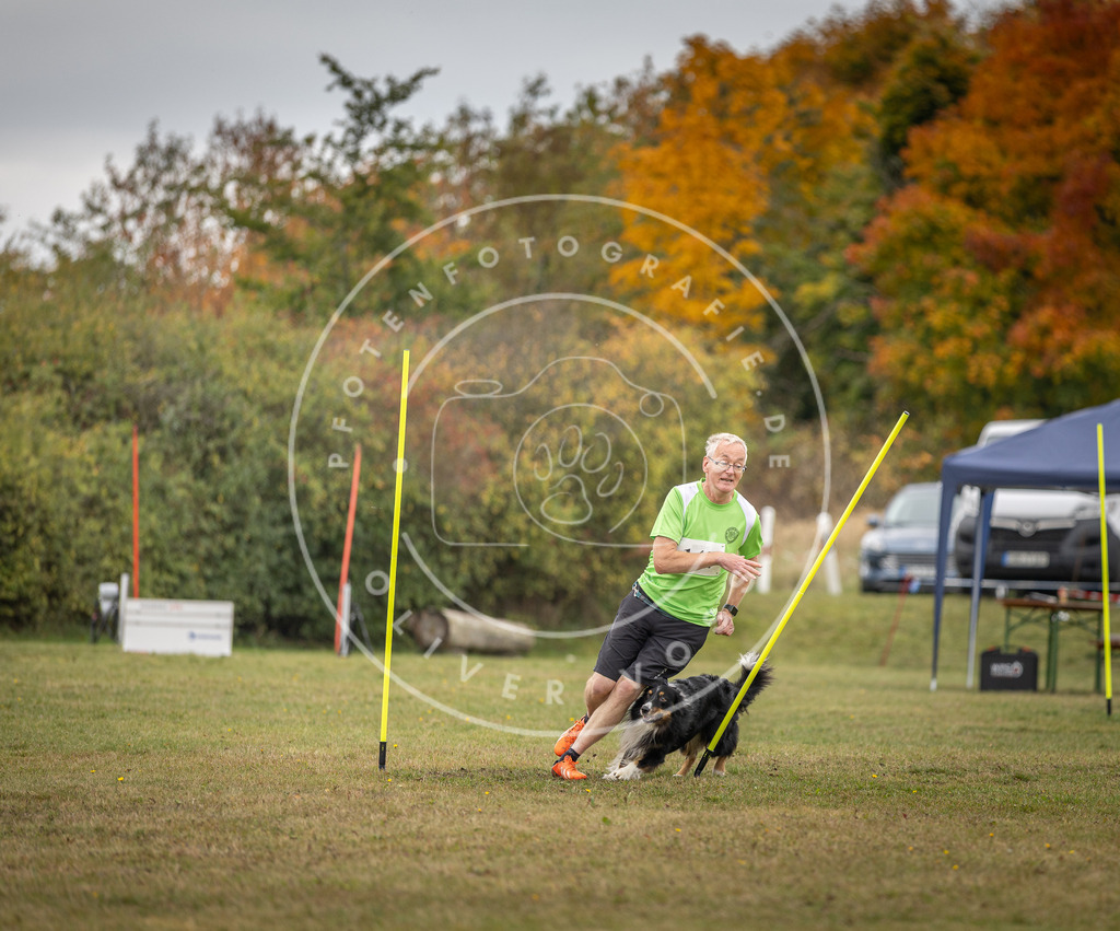 Pfotenfotografie_DV3A6490 | Hundefotografie, Tierfotograf, Pfotenfotografie, Fotoshooting Hund, Hunde Portrait, Hundesport, Hundeportraits, Heideshooting, Hunde, Sportfotograf, Hundefotograf, Turnierhundsport, THS,  - Realisiert mit Pictrs.com