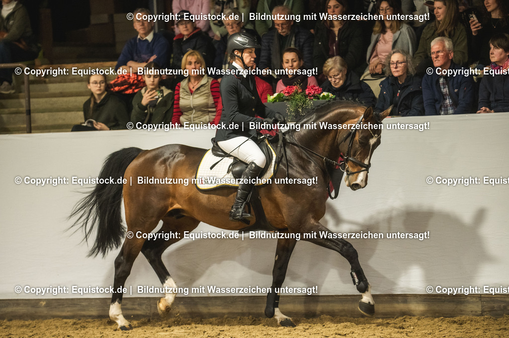 20240302_Hengstvorstellung_Marbach_TOMsPiC_1371 | equistock