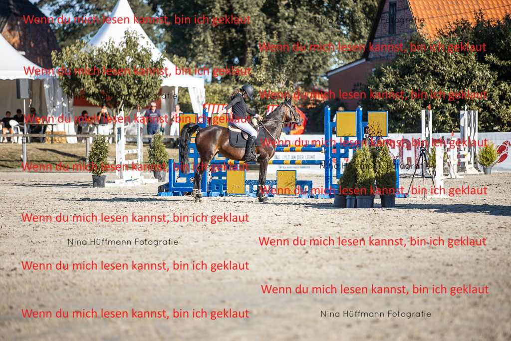 BK1A7844 | Turnierbilder Turnierfotos Nina Hüffmann Turnierfotografie Pferdefotografie Tierzeichnung Haustierzeichnung Pferdezeichnung Hundezeichnung Videograf  - Realisiert mit Pictrs.com