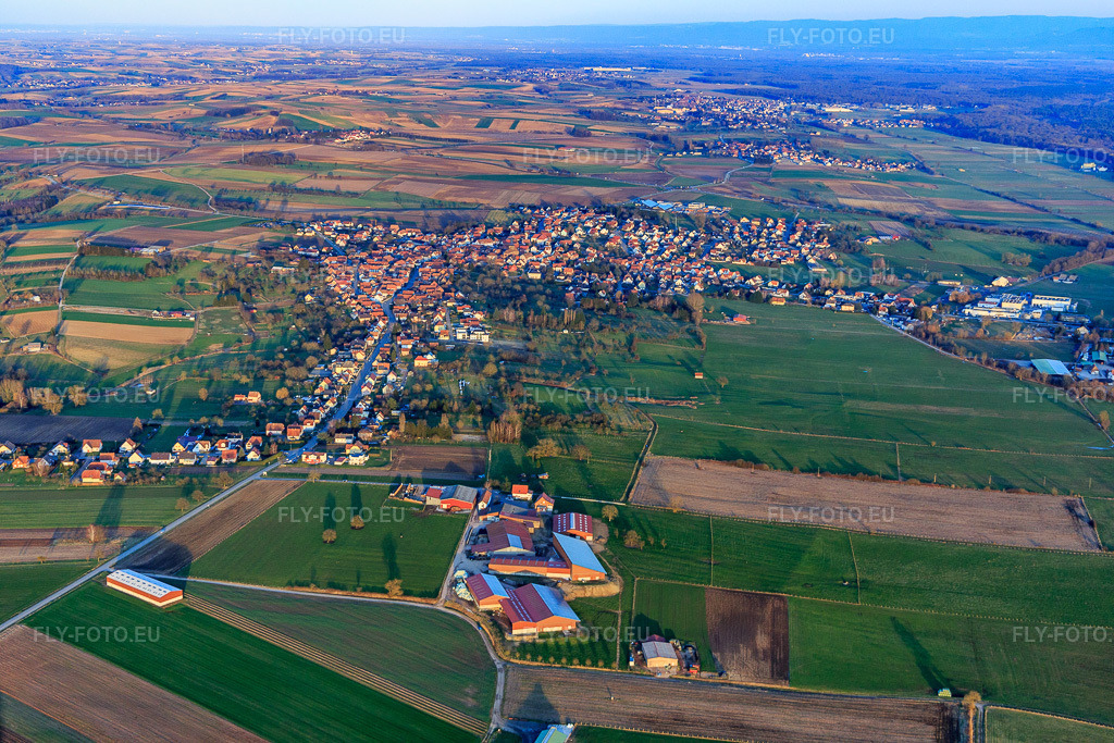 Vue aérienne: Vue du village derrière la ferme Scharrenberger à Surbourg dans le département Bas Rhin, France – .Photo: IMG_104994.jpg prise le 21/03/2018 par Werner Riehm/FLY-FOTO.eu – Résolution de l'original: 5472 x 3648 px