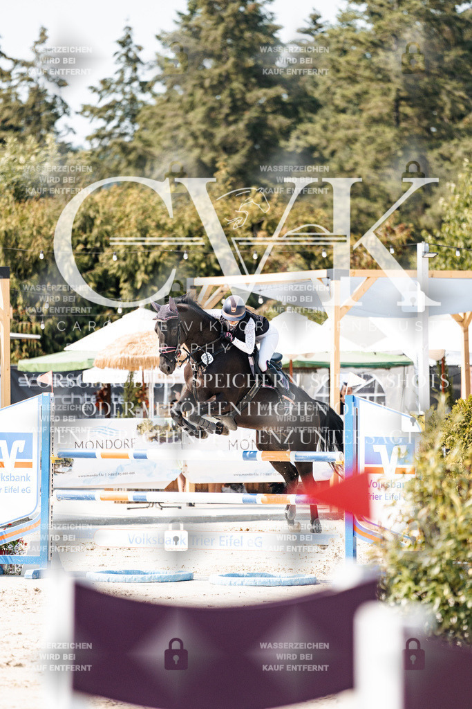 CK901574 | Turnierfotografie Pferdefotografie Trier Rheinland-Pfalz Pferdesport Reitsport Tierfotografie Sportfotografie Pferdevideo Pferdevideografie Equestrianvideography equestrianphotography  - Realisiert mit Pictrs.com
