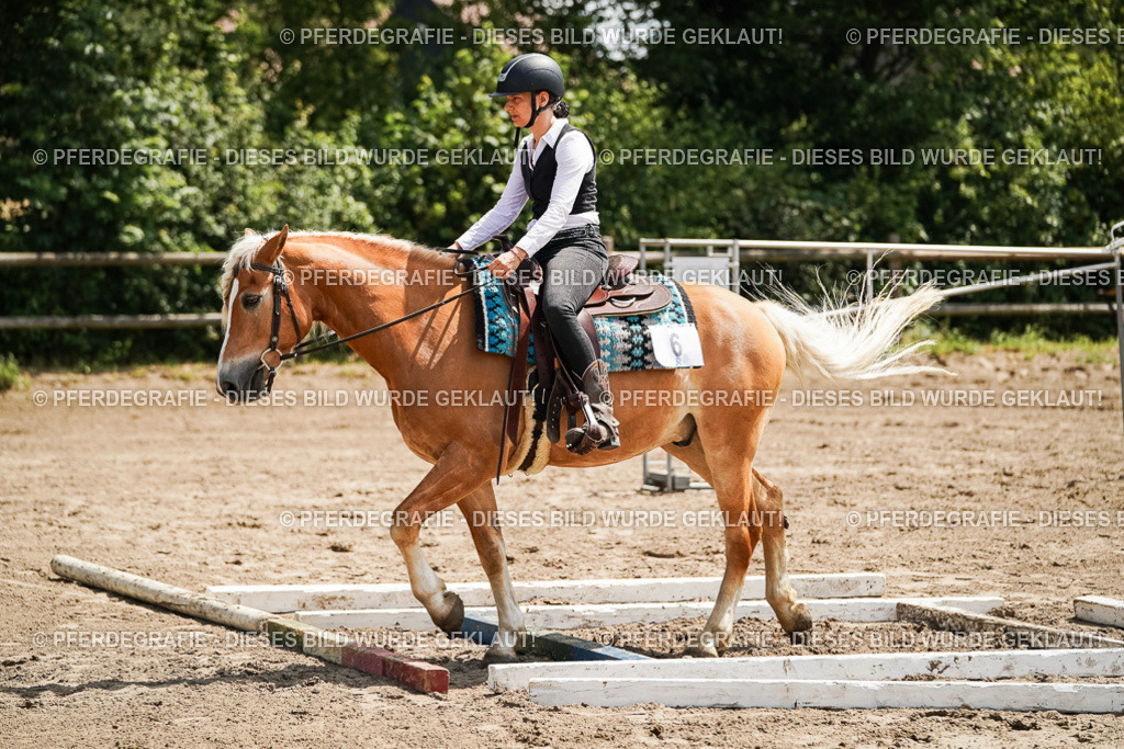 DSC07081 | Pferdegrafie