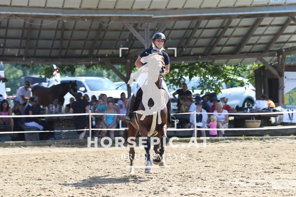 7V2A3673 | Willkommen bei Brunnmayr - Design & Fotografie – Ihrem Spezialisten für Reitturniere und Pferdeveranstaltungen in Oberösterreich, Salzburg und Bayern! Seit über 17 Jahren sind wir leidenschaftlich dabei.
