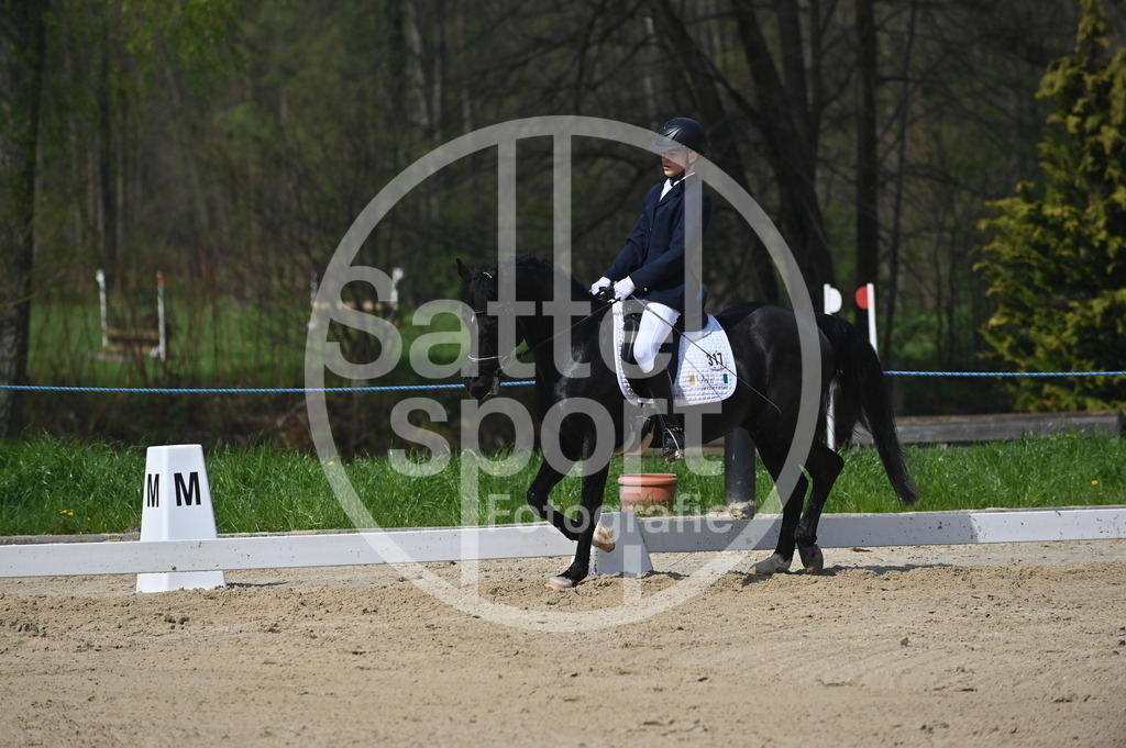 DSC_1181 | sattelsport - Realisiert mit Pictrs.com