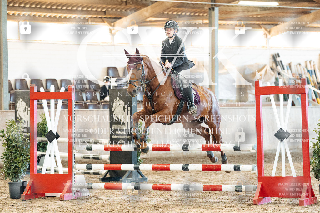 CK904740 | Turnierfotografie Pferdefotografie Trier Rheinland-Pfalz Pferdesport Reitsport Tierfotografie Sportfotografie Pferdevideo Pferdevideografie Equestrianvideography equestrianphotography  - Realized with Pictrs.com