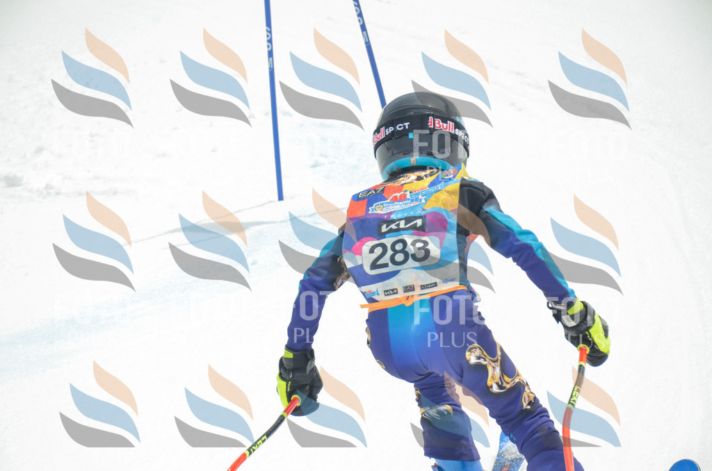 _ELE7983 | holidayphoto