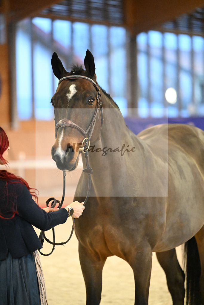 Vigaro_5250835 | hf-fotografie - Realisiert mit Pictrs.com
