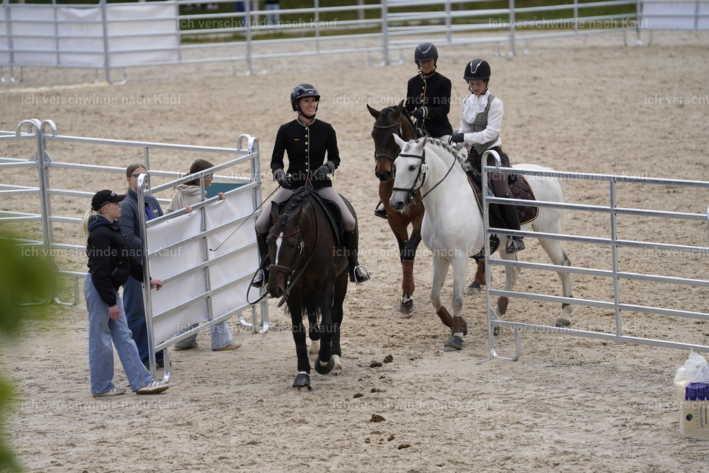 PI26_COW_Stoibphotography_A749532.JPG | working equitationturnier fotograf videograf stoibphotography marixx film working equitation deutschland reitsport turnierfotografie eventfotografie equestrian events