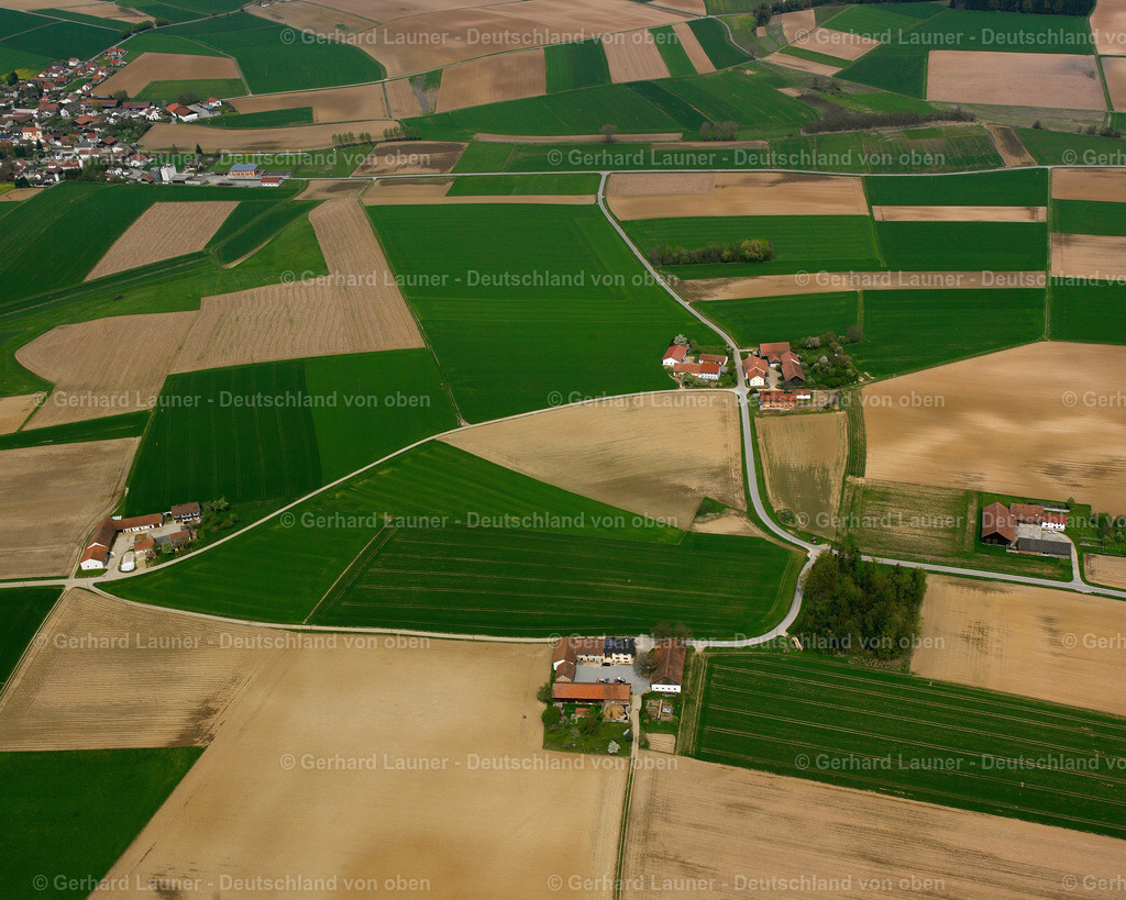 2519035 | Roßhardt, Leiblfing