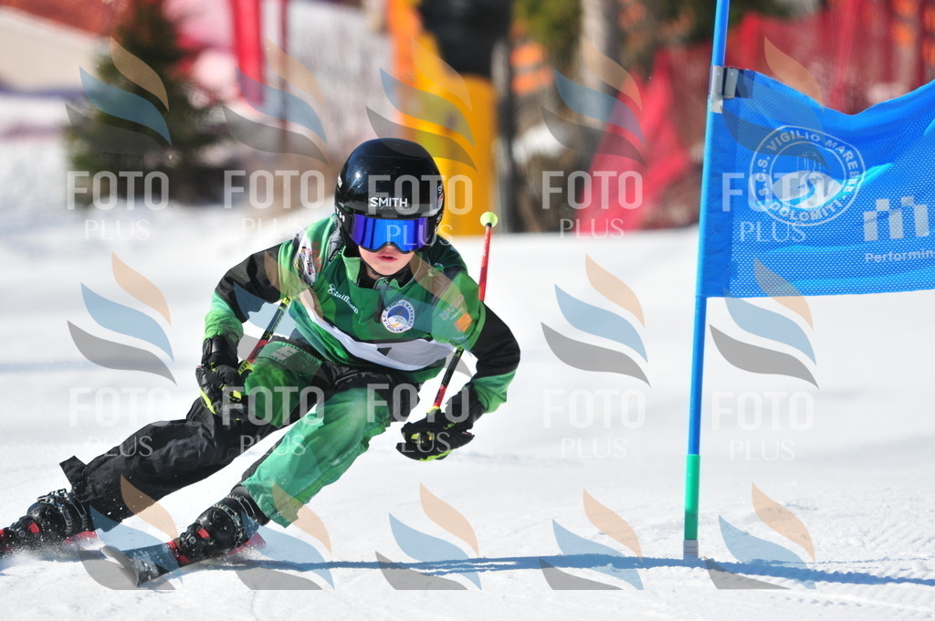 C3101 | holidayphoto