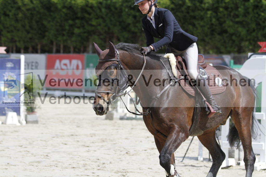 _MG_3366 | equestrian-live-com