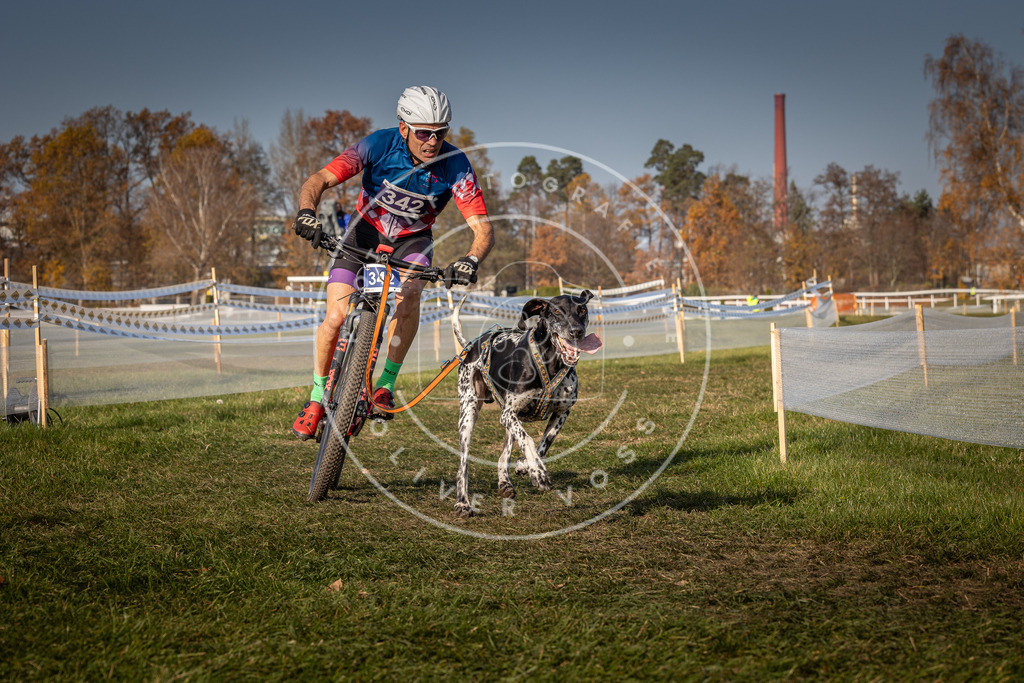 CaniXpix_0L8A7758 | Hundefotografie, Tierfotograf, Pfotenfotografie, Fotoshooting Hund, Hunde Portrait, Hundesport, Hundeportraits, Heideshooting, Hunde, Sportfotograf, Hundefotograf, Turnierhundsport, THS,  - Realisiert mit Pictrs.com