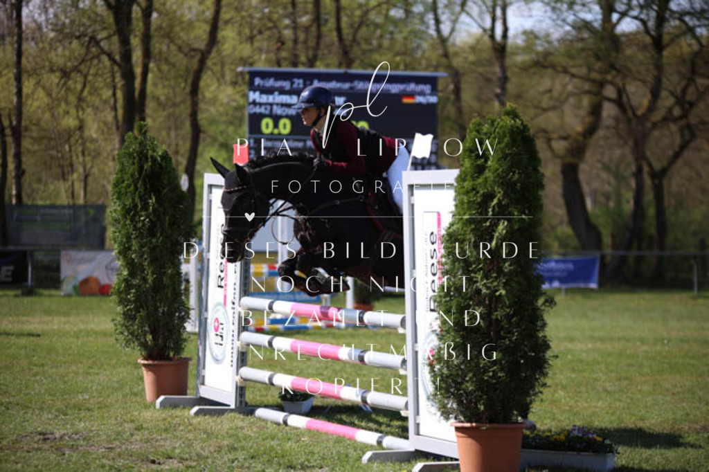 IMGT5662 | pl-fotografie