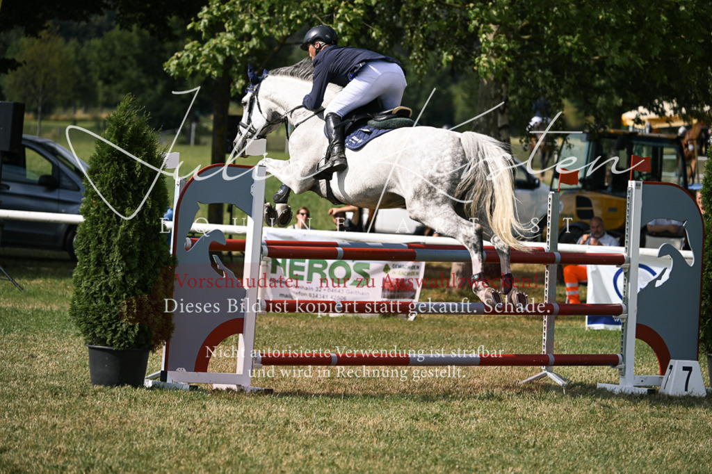 DSC_1035 | Pferde- und Turnierfotografie in Westsachsen. Pferdeportraits, Auftragszeichnungen und intuitive Kunst.