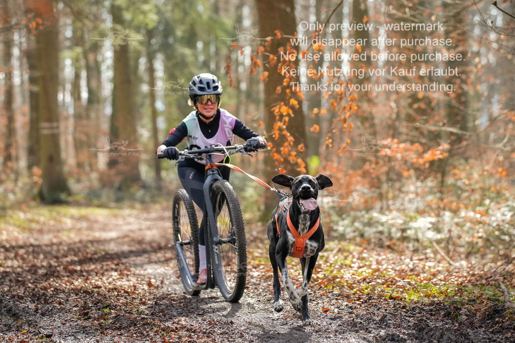 So_Scooter1-36 | stephaniefillaphotographie - Realisiert mit Pictrs.com