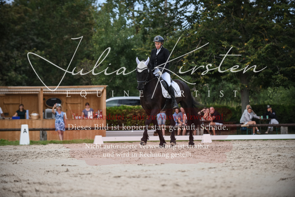 DSC_8625 | Pferde- und Turnierfotografie in Westsachsen. Pferdeportraits, Auftragszeichnungen und intuitive Kunst.