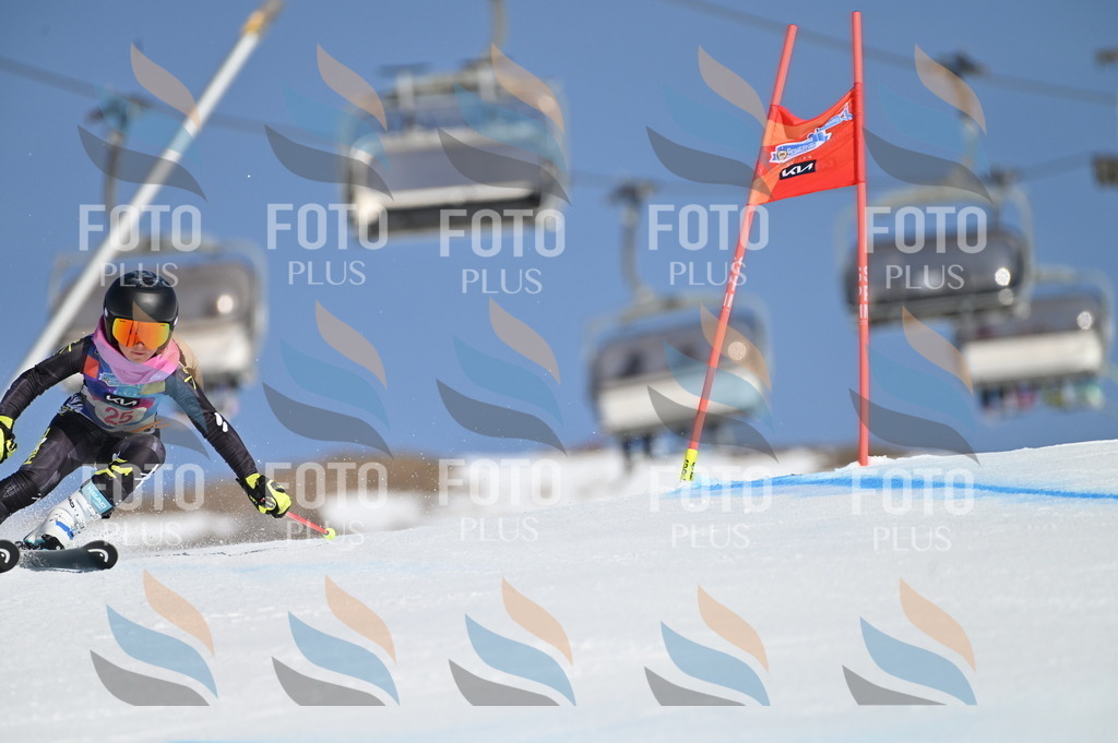 BGV_8038 | holidayphoto