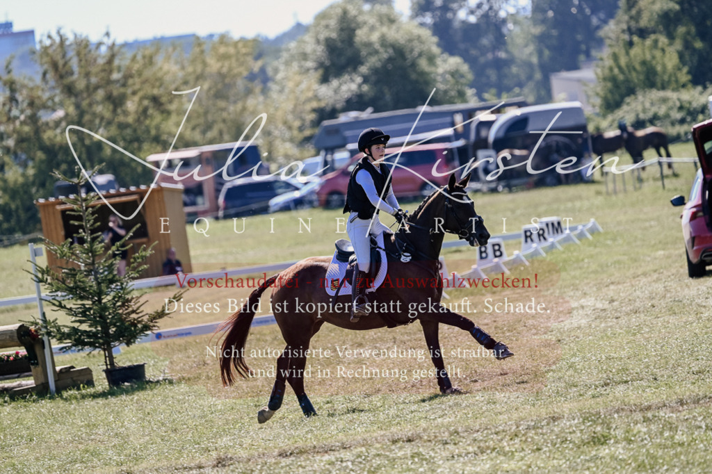 DSC_2730 | Pferde- und Turnierfotografie in Westsachsen. Pferdeportraits, Auftragszeichnungen und intuitive Kunst.